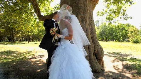 Newlyweds Standing Under A Tree Stock Footage 52697827