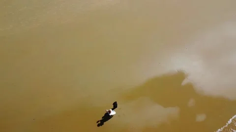 Newlyweds walking down the beach whilst the drone spins around Stock Footage 178797592
