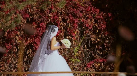Newlyweds walking in the forest Stock Footage 48924316