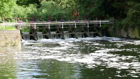 Newmans's Weir Stock Footage 313079972