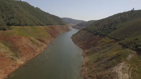 NewMelones 002 Stock Footage 88838903