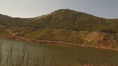 NewMelones 003 Stock Footage 88838879