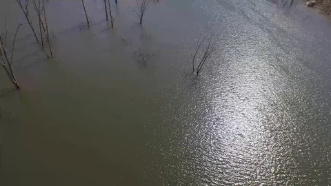 NewMelones 004 Stock Footage 88838908