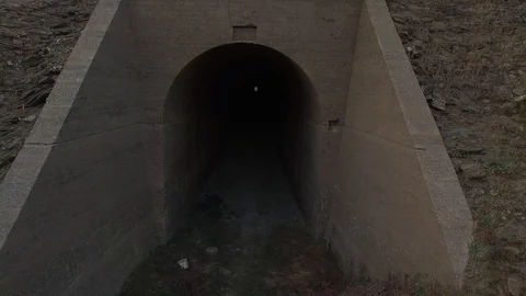 NewMelones 008 Stock Footage 88838939