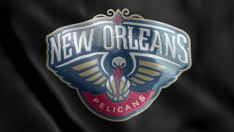 NewOrleansPelicans Stock Footage 133767014