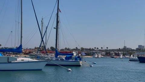 Newport Beach Boating Stock Footage 156974205