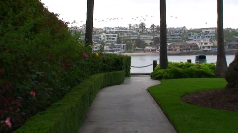 NEWPORT BEACH-harbor path-roses Stock Footage 1054807