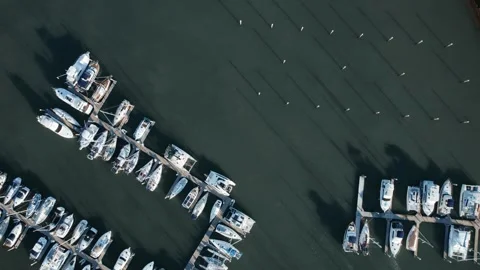 Newport Marina Top Down Video stock 245715367
