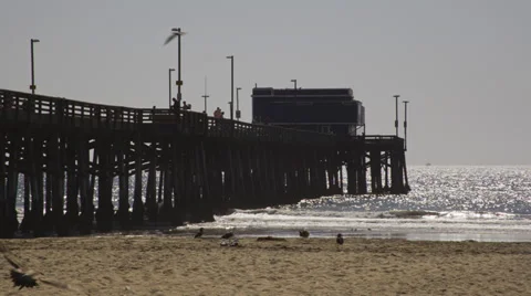 Newport Pier Vídeo Stock 31647193