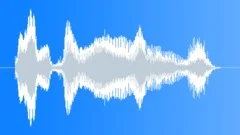 News Anchor Female Says Breaking News 2 Sound Effect