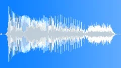 News Ident Male Voiceover 1 (English)Sound Effect
