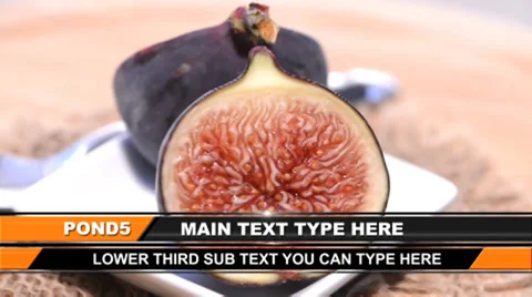 News Line Lower Third 스톡 After Effects