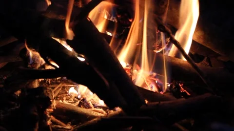 Newspaper is added to a burning campfire Stock Footage 44446772