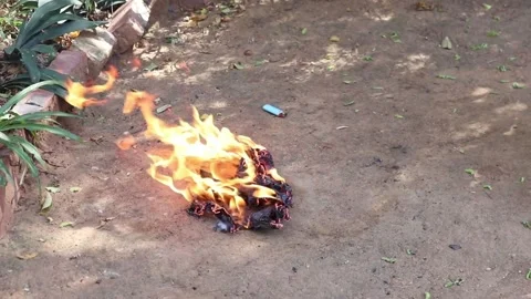 Newspaper on fire 2 (slow motion) Video stock 153657304