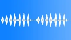 Newtons Golden Bowerbird MCU Sound Effect