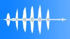 Newtons Golden Bowerbird MCU Sound Effect