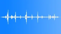 Newtons Golden Bowerbird MCU Sound Effect