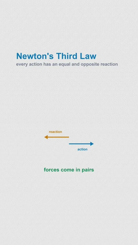 Newton's Third Law Labeled Physics Diagram Alpha 4K Vertical 9x16 Light Vidéo 339645522