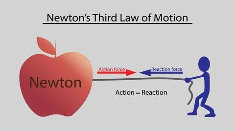 Newton's third law of motion, Law of gravity, action reaction force Stock Illustration