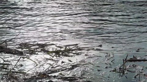 Next to the bank of a fast flowing river. Close up Stock Footage 46440066