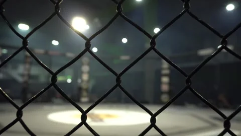 Next to the Cage of Combat Ring Stock Footage 247406072