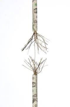 Next failure Stock Photos