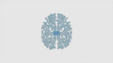 Next-Generation Animated Artificial Intelligence Brain for AI Projects Stock Footage 263239197
