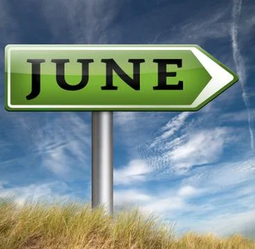 Next june Stock Illustration