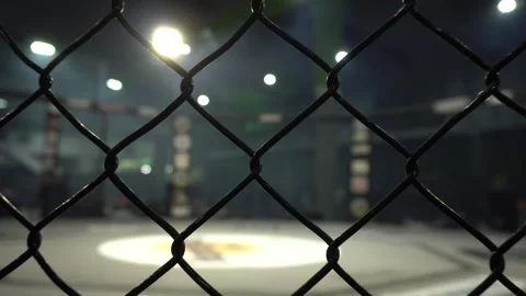 Next to the Ring of Combat Vídeos de archivo 247406062