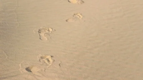 The next steps in the desert Stock-Footage 70152606