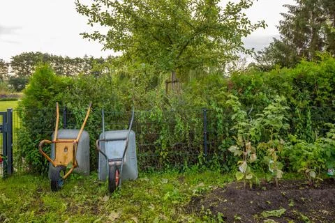 Next to a vegetable patch 2 wheelbarrows stand side by side in a garden Foto stock