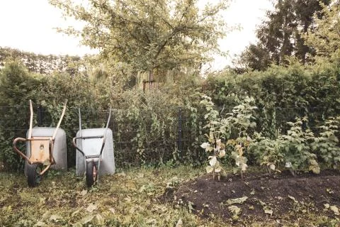 Next to a vegetable patch two wheelbarrows stand side by side in a garden Stock Photos