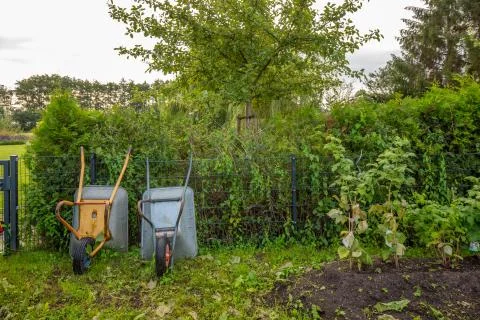 Next to a vegetable patch two wheelbarrows stand side by side in a garden Stock Photos