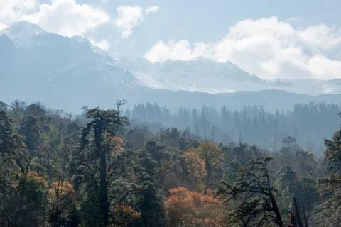 Next view Stock Photos