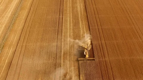 NEYHD_0008 C CC Stock Footage 87806402