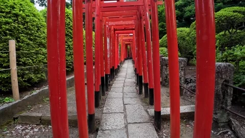 Nezu shrine Stock Footage 316998476