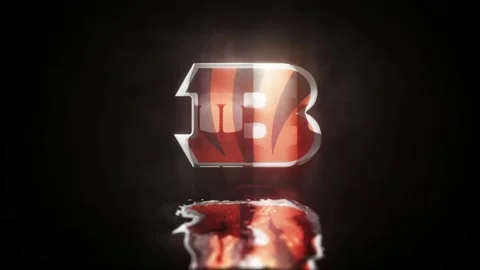 NFL Logo cincinnati bengals WaterReflection Video stock 234590375