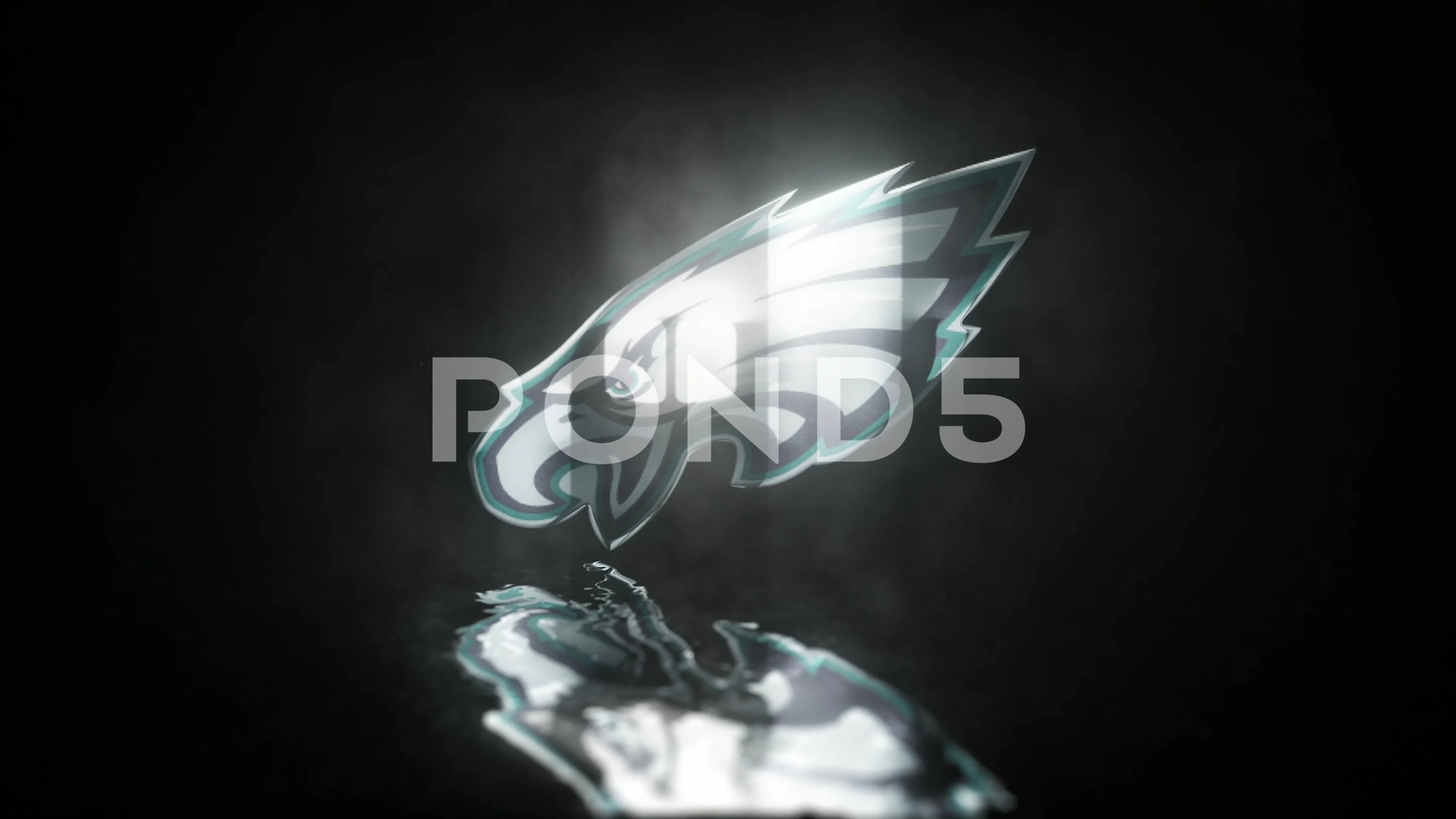 169 Philadelphia Eagles Stock Video Footage - 4K and HD Video