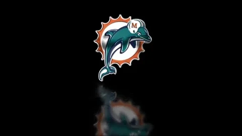 NFL Logo Reflection Miami Dolphins Stock Footage 256756499
