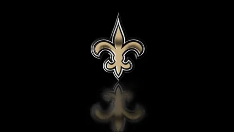 NFL Logo Reflection New Orleans Saints Video stock 256756528