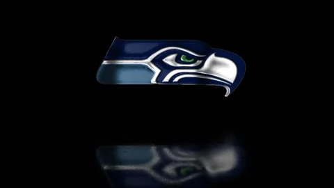 NFL Logo Reflection Seattle Seahawks Video stock 256756597