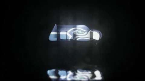 NFL Logo seattle seahawks waterreflection Stock Footage 234590553