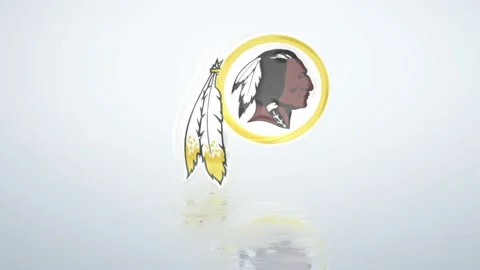 NFL Logo washington redskins Reflection Stock Footage 232776843