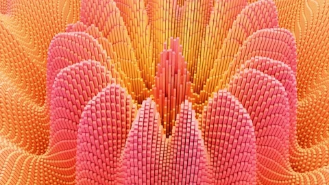 NFT background is pixel pink. Smooth looping animation Stock Footage 200824358