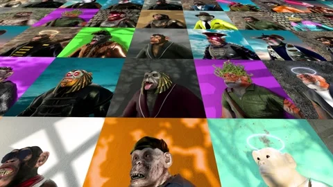 Nft Collection by Apes Stock Footage 196170189