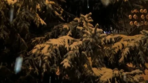 Ng 002 falling snow.mp4 Stock Footage 15770420