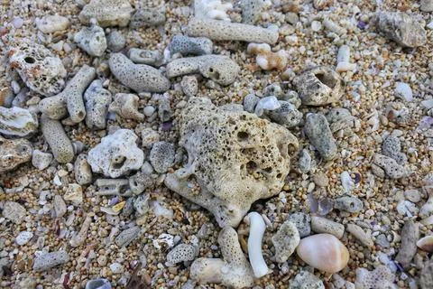 Ngandong beach Stock Photos