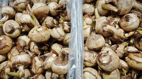 Ngarku vegetable Stock Photos