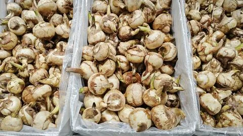 Ngarku vegetable Stock Photos