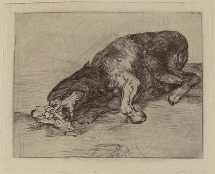 Nga,UK,16th-19th c.Francisco de Goya, Fiero monstruo! (Fierce Monster!), 1810 18 Stock Photos